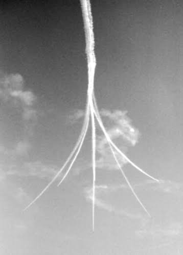 IMG_8031.jpeg IMG_8031.jpeg