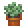 ペペロミアの植木鉢