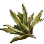 wolf's aloe leaves.png
