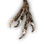 harphyclaws_64x64.png