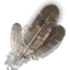 harphyfeathers_64x64.png