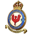 209Squadron.png