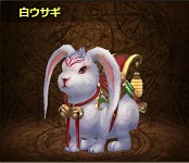 白ウサギ.jpg