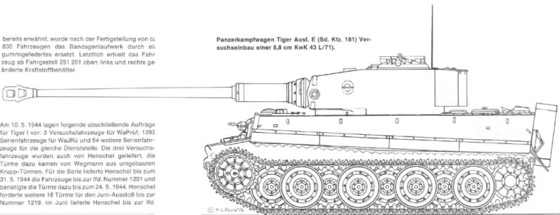 Tiger1_L71.jpg