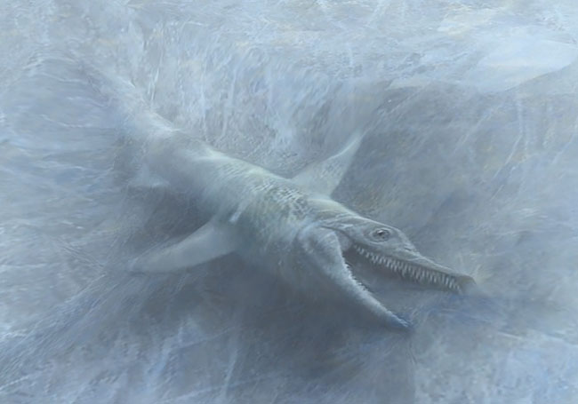saur001.jpg saur001.jpg