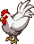 ニワトリ