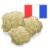 sapphire_1500_white truffle of Provence producing.jpg
