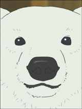 shirokuma09.jpg