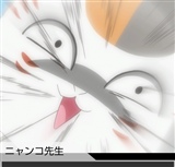 nyankosensei_hanasu02.jpg nyankosensei_hanasu02.jpg