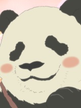 panda01.jpg