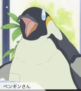 pengin_s02.jpg