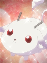 无 カーニヴァル 嫁コレ Wiki 无 カーニヴァル 嫁コレ Wiki