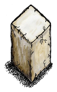 漆喰の壁/Plaster Wall