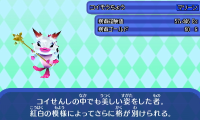 コイそうちょう.JPG コイそうちょう.JPG