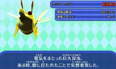 サンダーフライ.JPG サンダーフライ.JPG