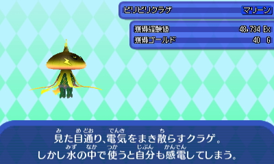 ビリビリクラゲ.JPG ビリビリクラゲ.JPG